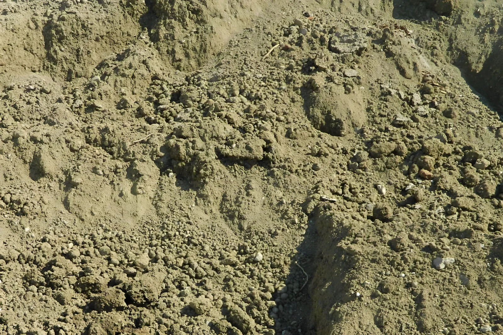 Common fill material for bulk grading and elevation changes